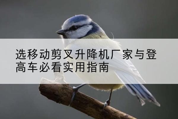 盐都电动升降机厂家-选移动剪叉升降机厂家与登高车必看实用指南