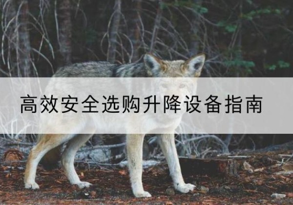 盐都升降货梯厂家推荐-*安全选购升降设备指南