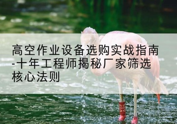 盐都剪叉式升降机厂家-高空作业设备选购实战指南-十年工程师揭秘厂家筛选核心法则